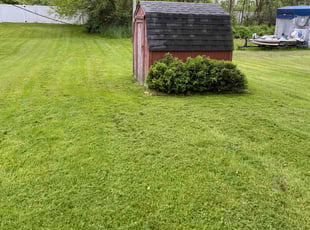 Larry h.'s Grass Cutting service result