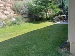 Ngalupepeloa U.'s Lawn Maintenance service result