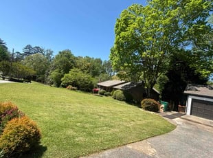 Anthony S.'s Lawn Care service result