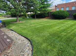 Therin S.'s Yard Cutting service result