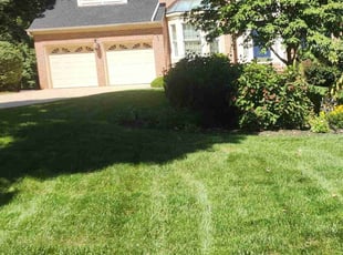 Paul C.'s Grass Cutting service result