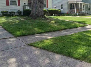 Shannon M.'s Lawn Mowing service result