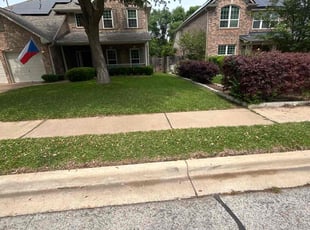 Pluto H.'s Lawn Care service result