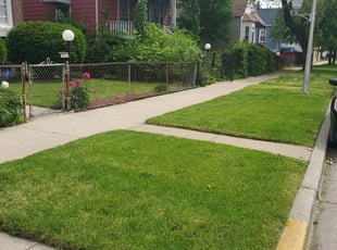 Brian N.'s Lawn Service service result