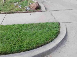 Larry S.'s Lawn Service service result