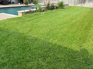 Victor L.'s Lawn Care service result