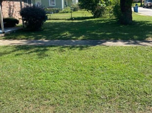 Bryan W.'s Lawn Care service result