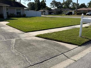 Eileen M.'s Lawn Mowing service result