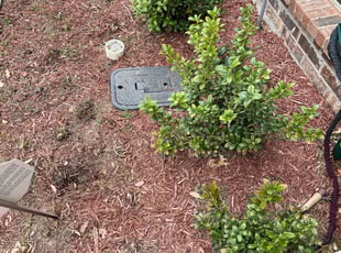 Weeding by Maurice Washington for D C. in Grand Prairie, TX