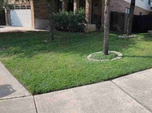 Heather F.'s Grass Cutting service result