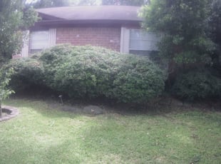 Bush Trimming by Keith Bradshaw for Alanna S. in Spring, TX