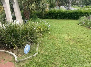 Nelly A.'s Lawn Care service result