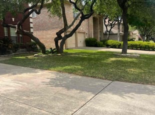 Crystal C.'s Yard Cutting service result