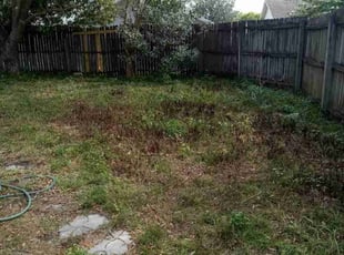 Bush Trimming by Louis Reele for Sam P. in New Port Richey, FL