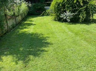 Michele M.'s Grass Cutting service result