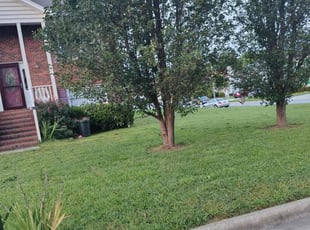 Ginger M.'s Lawn Care service result