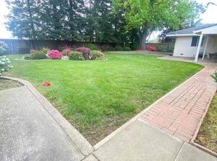 Anel F.'s Lawn Care service result