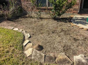 Weeding by Yanet Maciel for Anthony S. in Pearland, TX