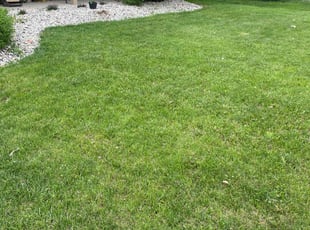 David S.'s Grass Cutting service result