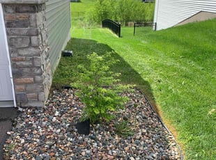 Gaylynn H.'s Lawn Maintenance service result