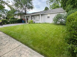 Michael U.'s Lawn Care service result