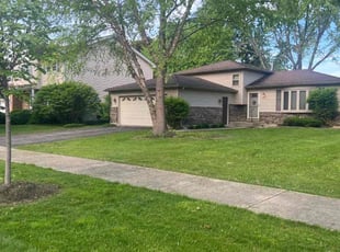 Steve A.'s Lawn Mowing service result