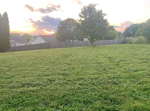 Kenneth B.'s Lawn Care service result
