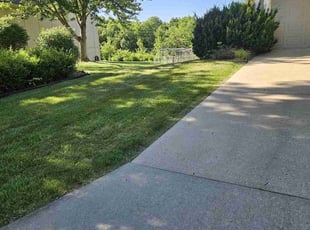 Diane M.'s Lawn Mowing service result