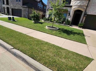 Darrell M.'s Grass Cutting service result
