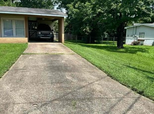 Kathryn F.'s Lawn Mowing service result