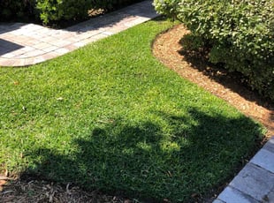 Demond L.'s Lawn Mowing service result
