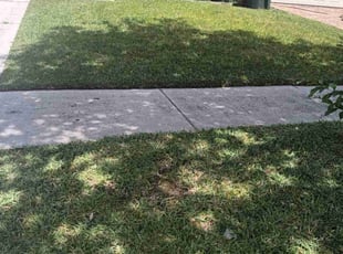 Pamela M.'s Lawn Mowing Service service result