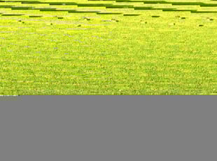 Katherine O.'s Lawn Care service result