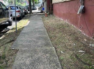 Cleanups by Cheray Grant for Ashley J. in Newark, NJ