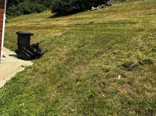 Cleanups by Kara Hine for Kathleen L. in New Eagle, PA