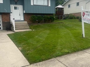 Ozella W.'s Lawn Mowing service result
