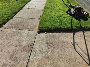 Maurice B.'s Lawn Service service result