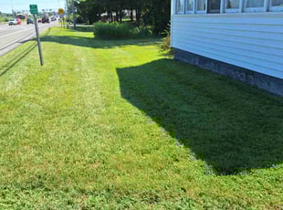 Eileen M.'s Lawn Mowing service result