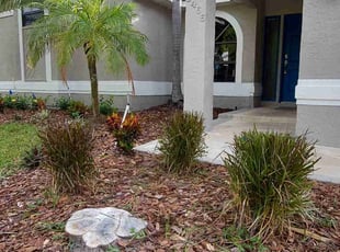 Bush Trimming by Chad German for Ellen B. in Palm Harbor, FL