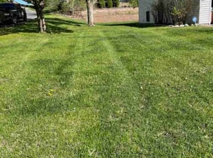 John m.'s Lawn Maintenance service result