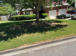Cleanups by Terrince up Gatewood for Robert A. in Powder Springs, GA
