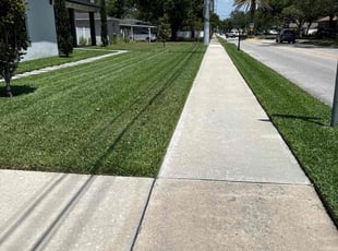 Aliyah D.'s Grass Cutting service result
