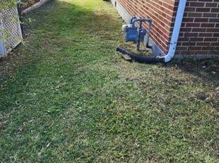 Breanne H.'s Lawn Mowing service result