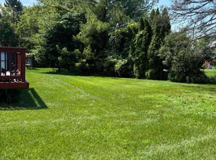 Dwayne L.'s Lawn Care service result