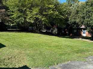 Sarah L.'s Lawn Service service result