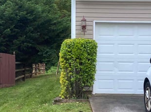Bush Trimming by Jimmy Morales for Brittany C. in Huntersville, NC