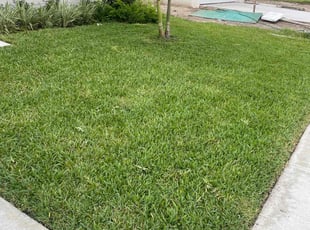 James S.'s Lawn Mowing service result