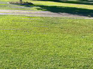 Deana G.'s Lawn Service service result
