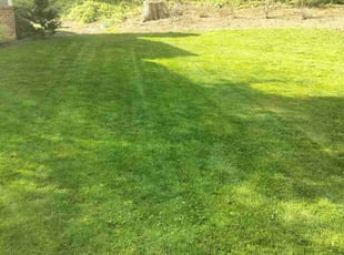 Jason S.'s Grass Cutting service result