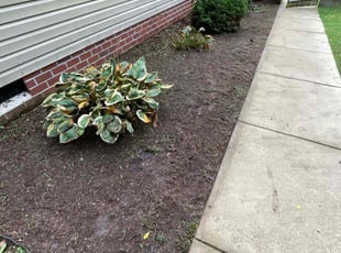 Weeding by Chris Thomas for Travis M. in Richmond, VA
